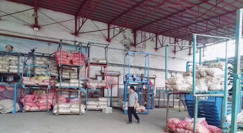 济南莱芜区寨里镇薛埠村姜蒜加工厂安全生产专项检查工作动态